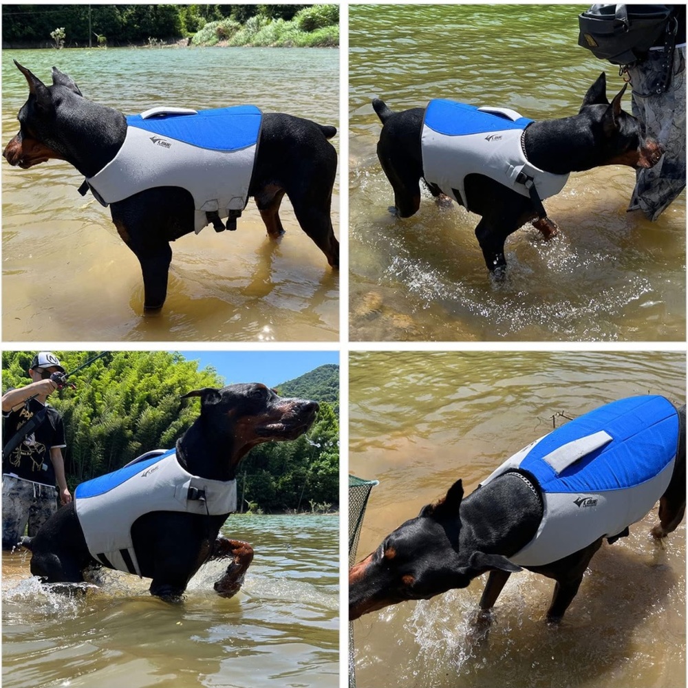 SALE!! ⚡️host pick⚡️Water safety vest for medium dogs